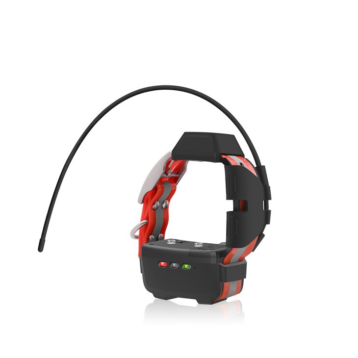 Mini-GPS-Hundehalsband