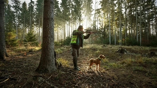 Den Wind beherrschen: Warum die Windrichtung bei der Jagd wichtig ist